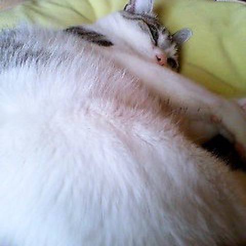 999537e7 d367 4149 a016 59bb8ef39cf1