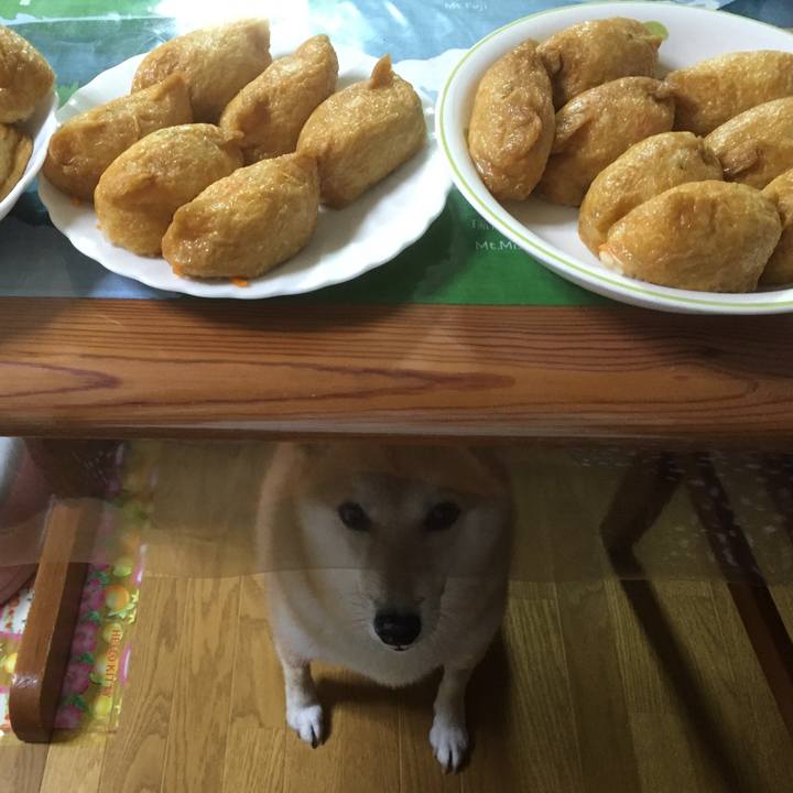 99956399 ec3f 4d67 a91a ea866c054d30