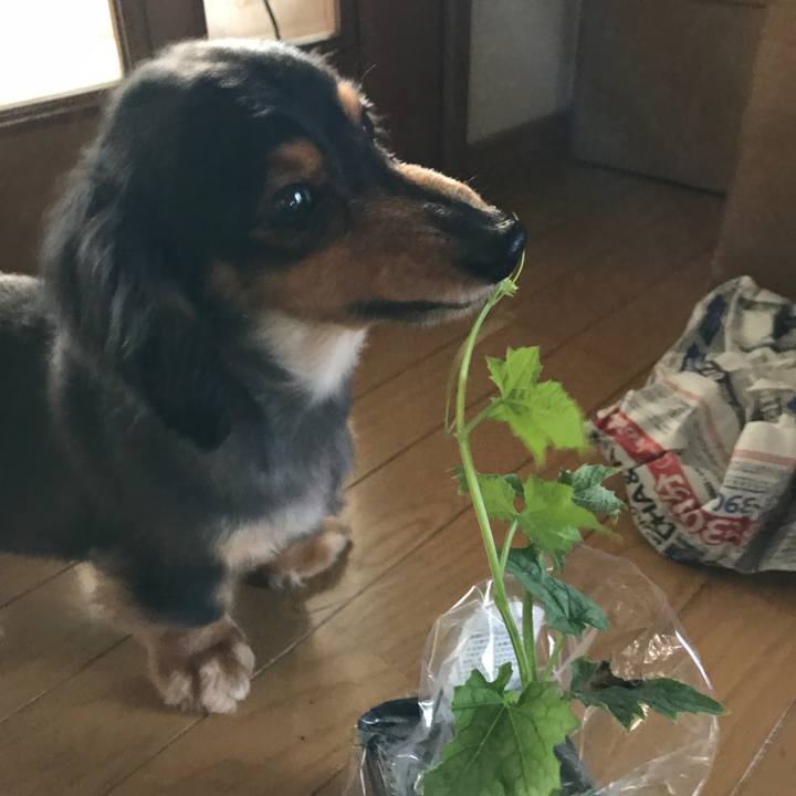 99957bed e4cf 4715 bdd9 0595f89ef5da