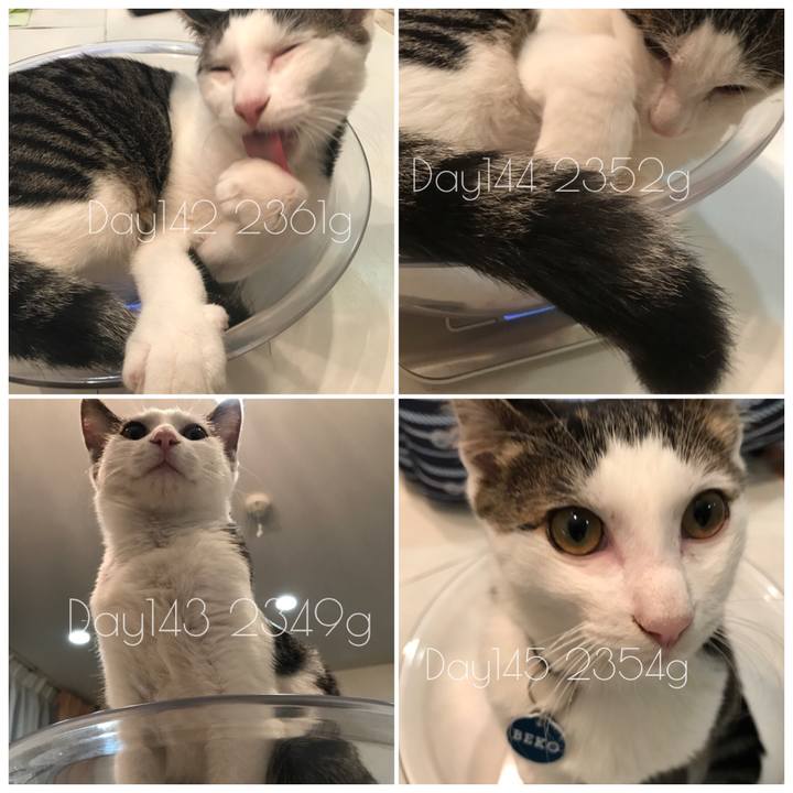 999587d1 7b15 4ee3 ae26 ac4361852a93