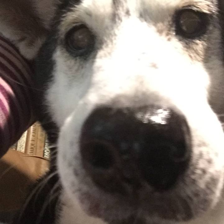 9995ac12 72b5 4b8f bc13 47147c3b897d