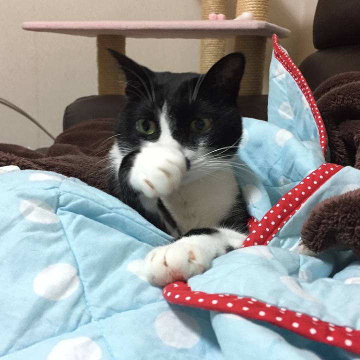 9995d5cc 07dc 419c accd 54cefa95c70e