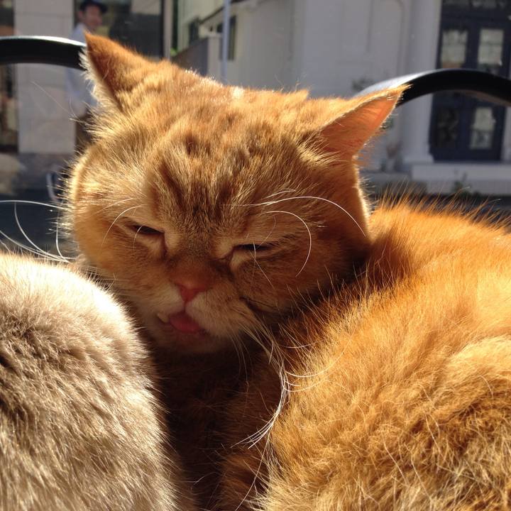 9996742b 45f5 4312 a7a2 cdadd614fa1e