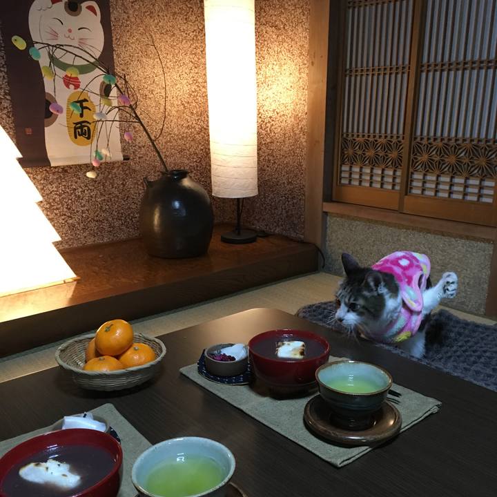 999689b6 9b84 45fe 8f46 c2f42ef8e258