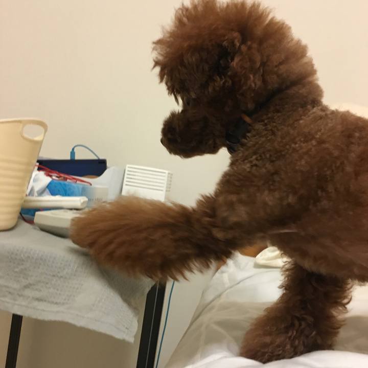 9996b3ff 33de 4918 afd1 aaa0b8bd2f1b