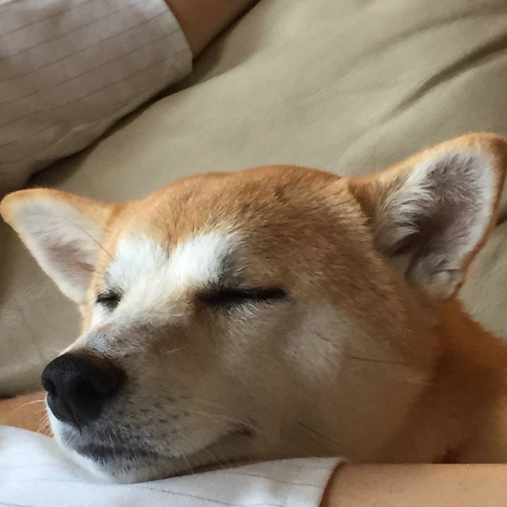 9996d168 2eb0 473b 9bc8 9f90622a0792