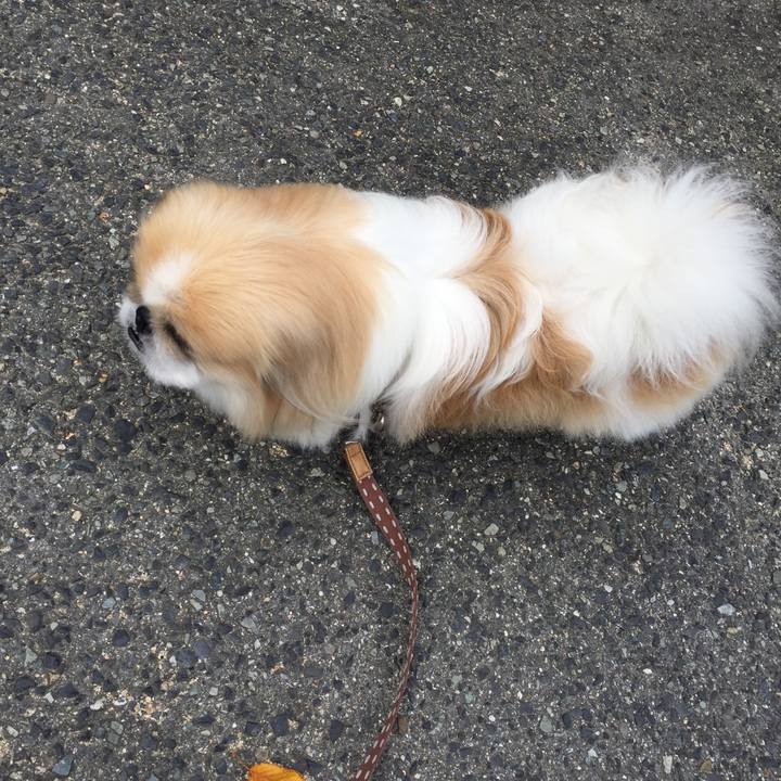 9996e0f8 f964 429b bda2 2704e6dbf25c