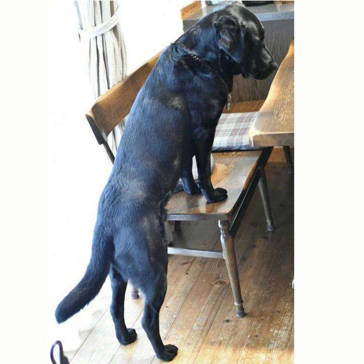 99972c8a 8a71 44c6 9209 55fc8c0b337b