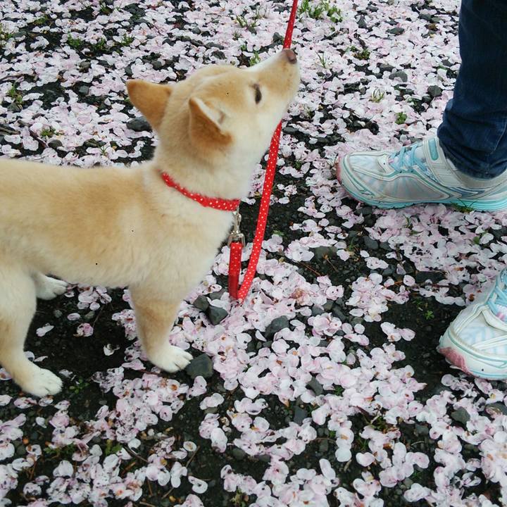 9997b1cf e940 4878 8c43 c2c1e46fcadd