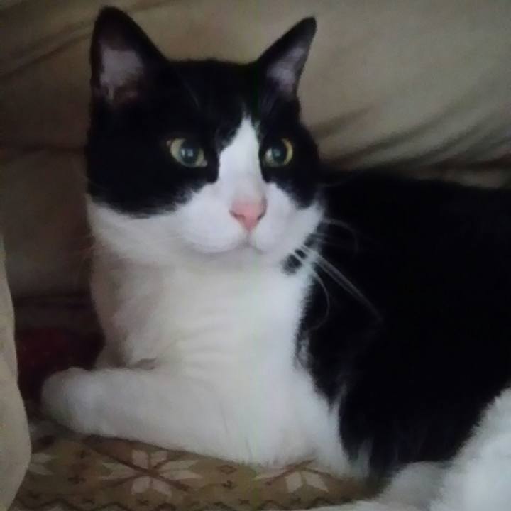 99983679 577b 4494 917c e592138453ee