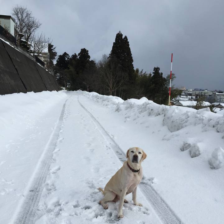 99984358 8073 4b5d 9da9 e116b41f8dc6