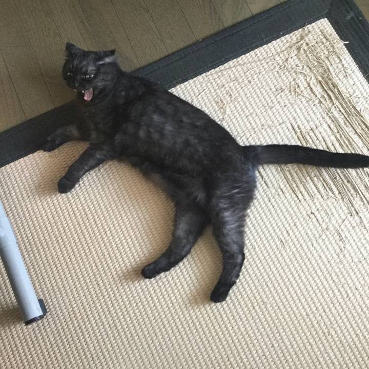 999869af f67f 440e a028 75f398f84a4c