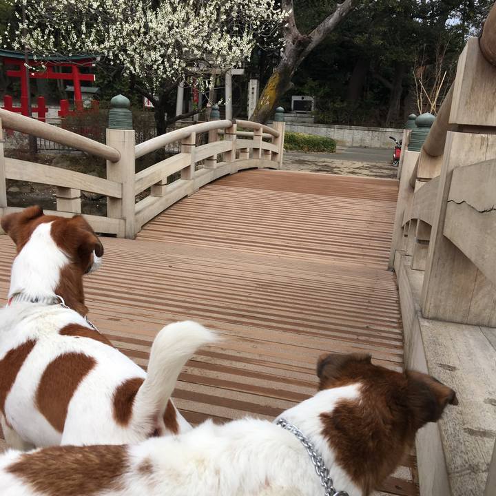 999884e3 8c97 4018 bd4b 17de149fa2d4