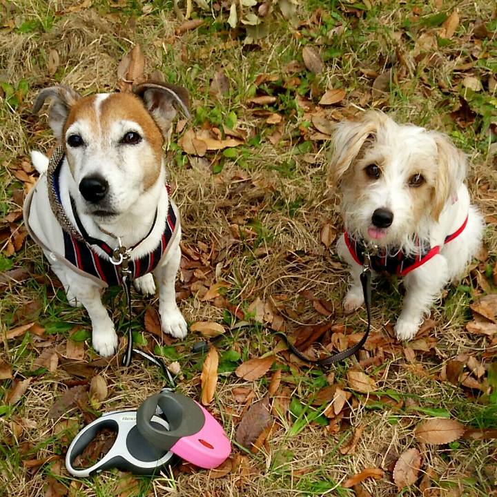 999910a7 bc35 4165 b561 ce900dc7c7f9