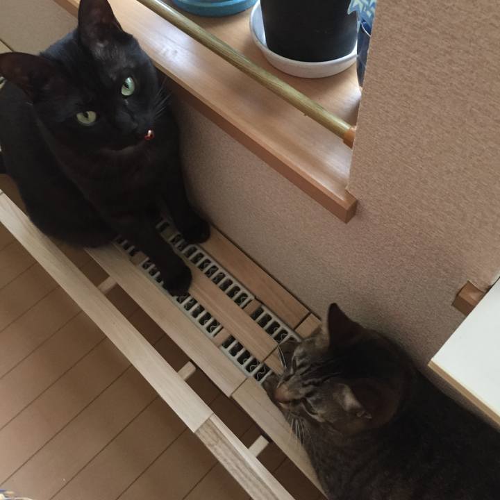 99995d2c 19c3 49ae b90c 3c143fa43a07