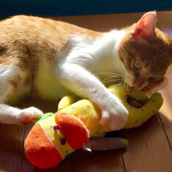 999971b9 09a6 4535 81e7 11df8c5b5841