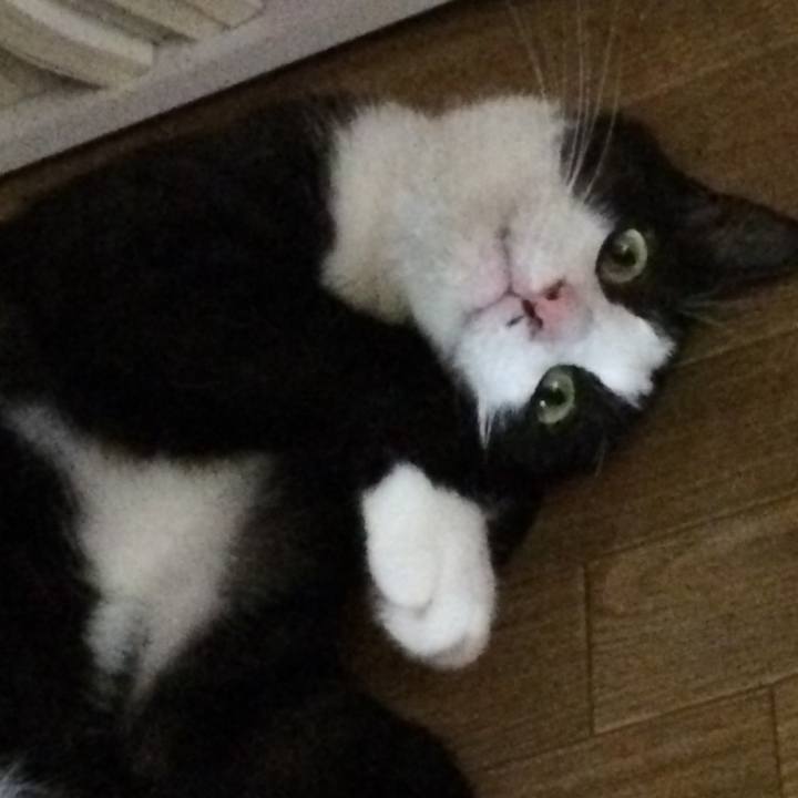 99998739 48d6 4456 ace1 b0b3b06847b1