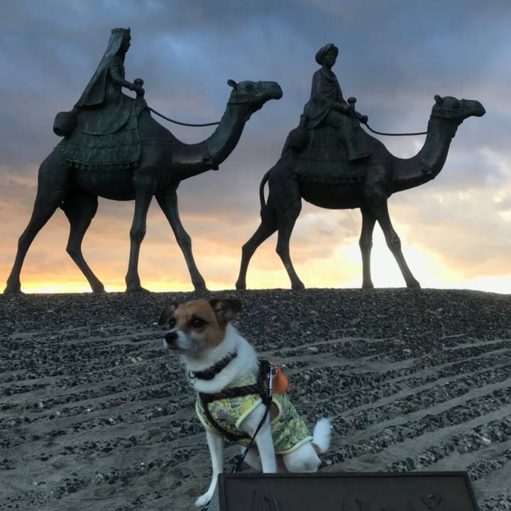 9999e016 c394 4ad5 acfe cee2df68dae8