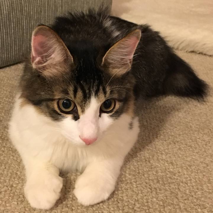 999a1684 b635 4622 9b6f 1199678f4736