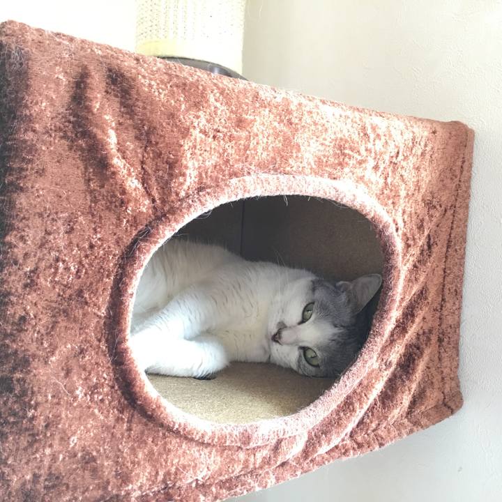 999a26a1 b5b0 41c3 9e03 e307f4ffd3e3