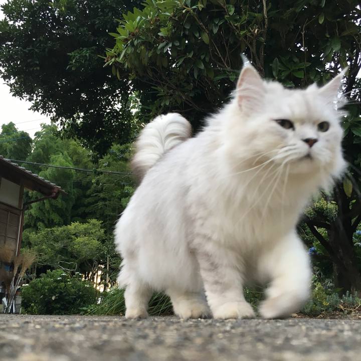 999a56ad 8831 4b3d ae78 99f67621ee97