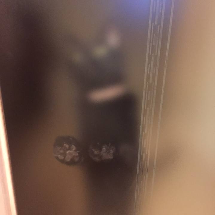 999a90f3 a4a5 40da 971c 3d8080f5c4af