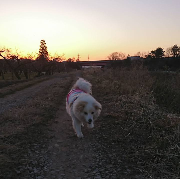 999a95c4 0558 4411 8ab3 1b0084fdaf49