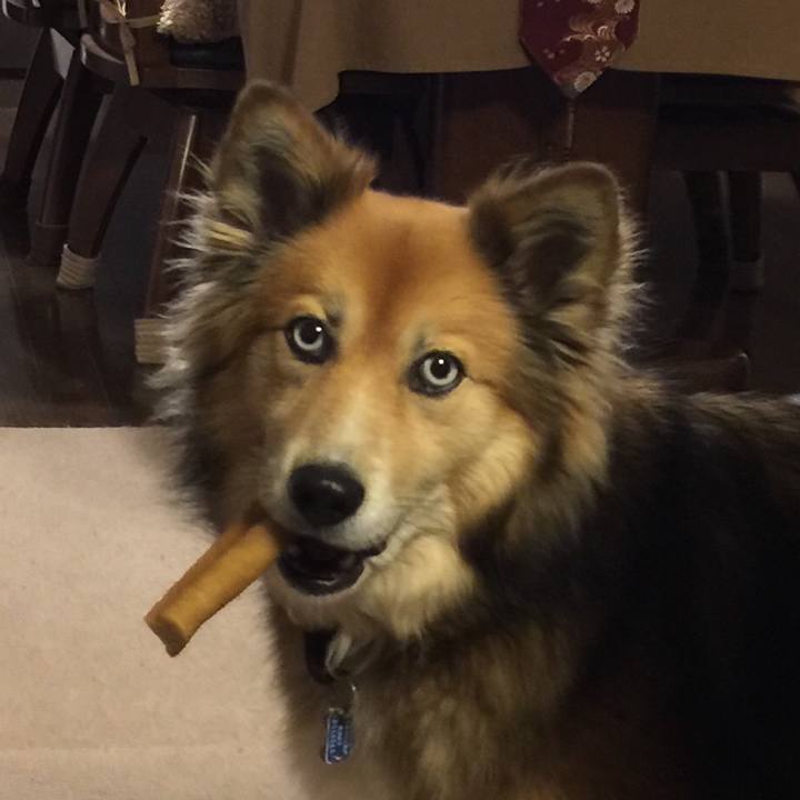 999ad9ec 2292 475e 9191 ea2f225d640d