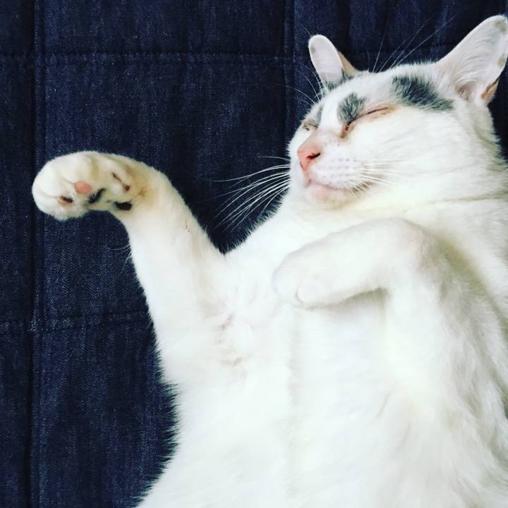 999b3fa0 36bf 406f aed9 2308e526cec7