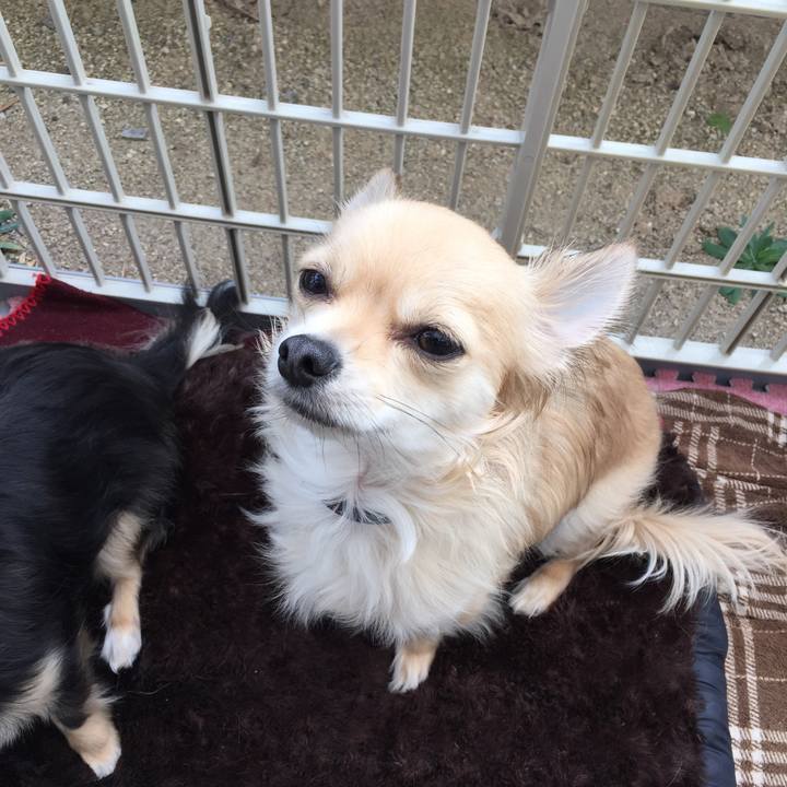 999b7972 5d15 4af2 9b96 b1727273097e