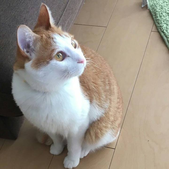 999ca590 d285 4f0c baff 415ea1534a87