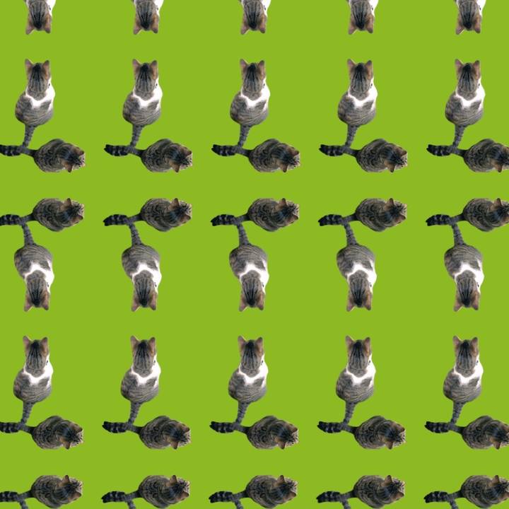 999cfb86 a000 4073 8694 810038321cb0