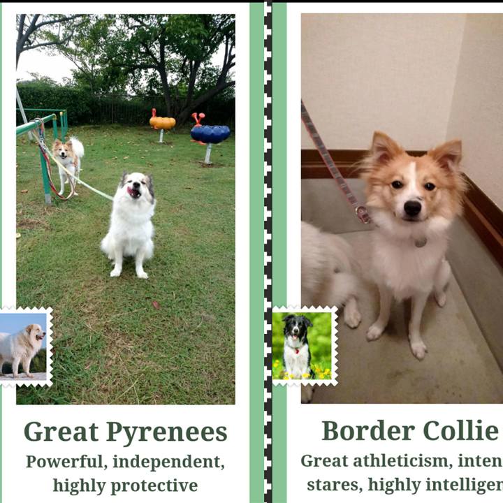 999d211c 1154 4aaa 9c3c 58f85b2154ff