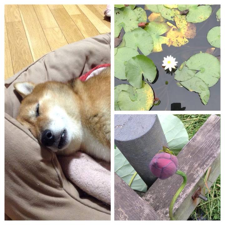 999d6ed8 e736 4c87 a8e6 4622947e95d8