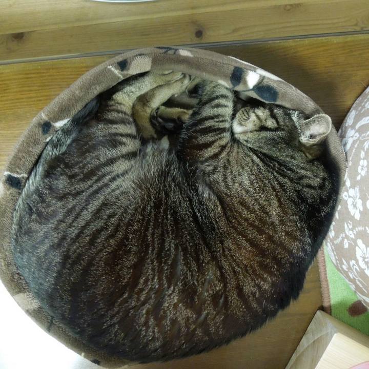 999d76aa b027 4d09 a1b2 a0c355dad457