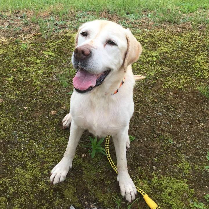 999dcc52 0af4 4257 84e6 3e2251adb752