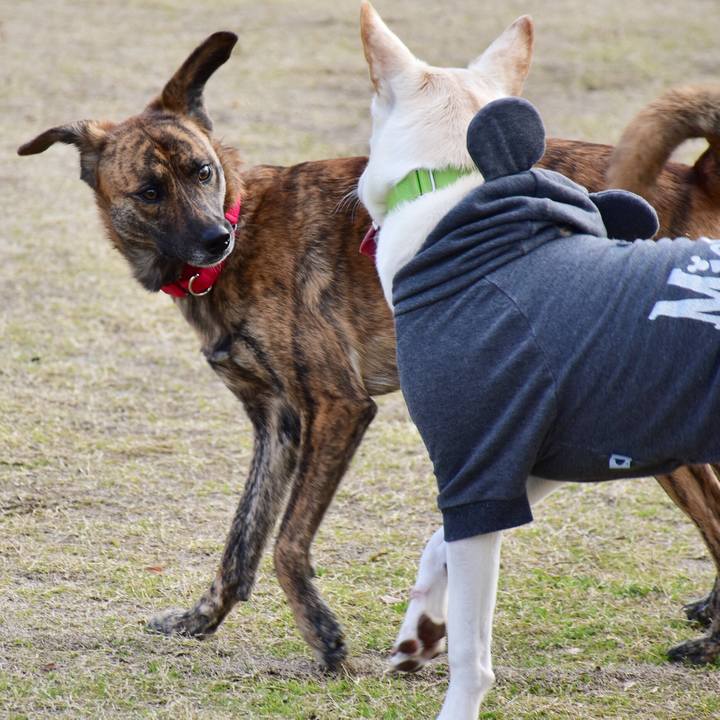 999eda49 b672 4e64 9c46 143caaa46b68