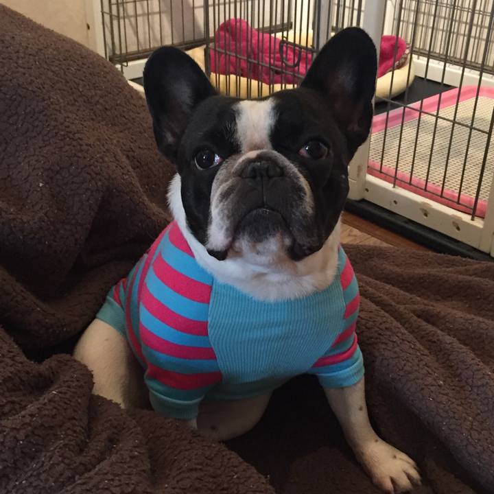 999f3f46 9796 47d3 a04a 7ffb4ba267ce