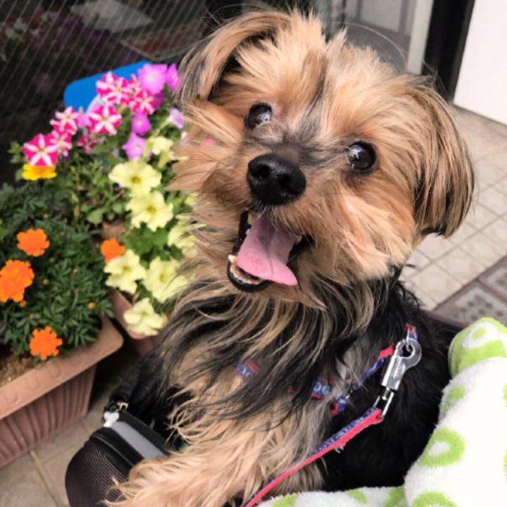 999fcc1c 14e6 47e1 88a0 ccede9de326a