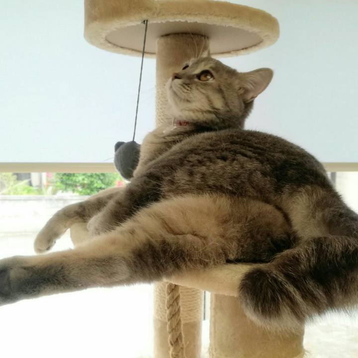 99a16233 b0df 410e ab22 77e944b395a4