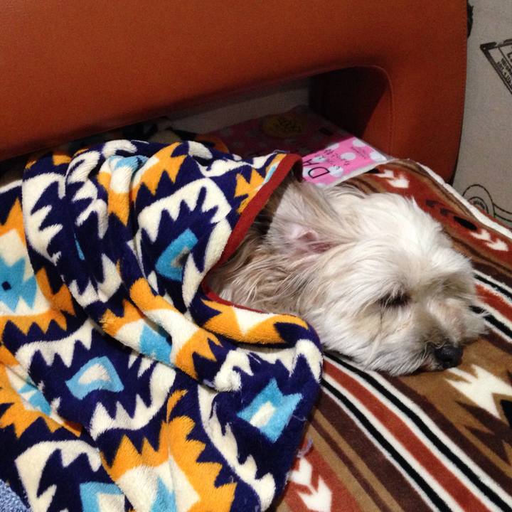 99a17ddd 7ab7 4dec 802d a4d8b0aeea8a