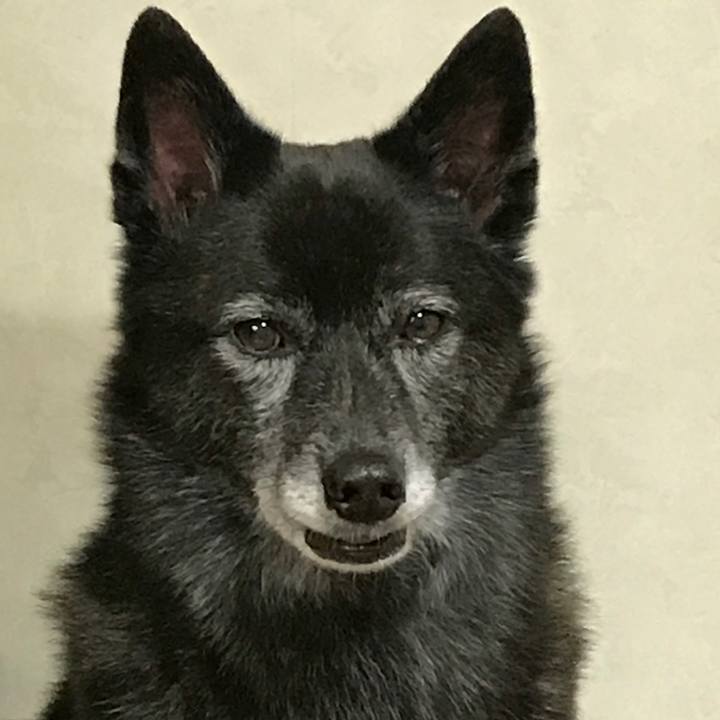 99a1bd45 d988 4dcc 9849 74419f4a77e7