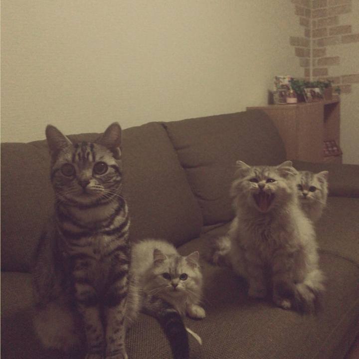 99a21efc 7b8c 4e4c 9c0b 551f0fb6bab7