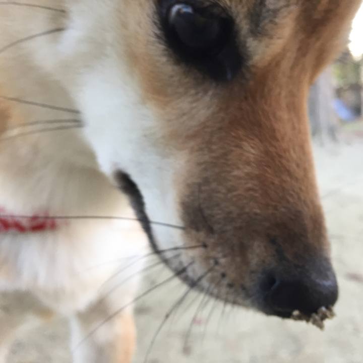 99a267f9 c7df 4823 9734 562b5d264c51