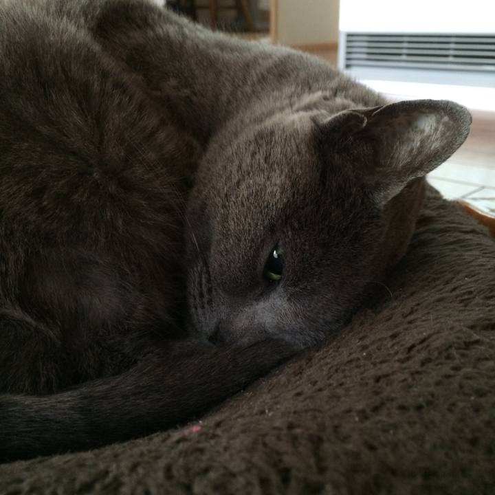 99a27c5a 5f64 429d a482 aa9800f997e8