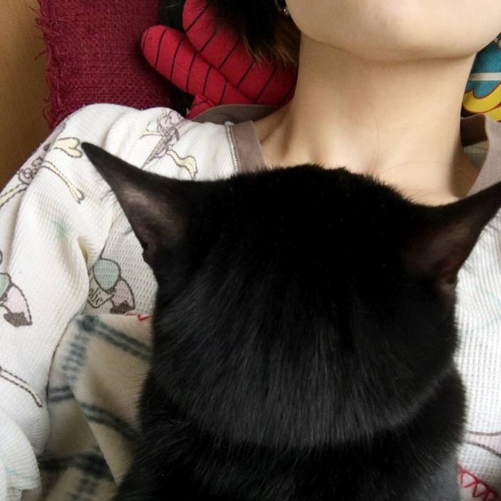 99a2be0c 8510 4eec 9312 361e931c8a11