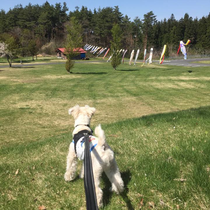 99a31b2f 5548 4d81 a2c9 561552d02749