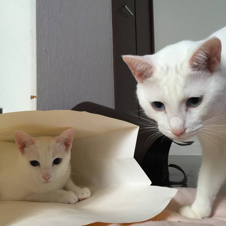 99a32b84 80bc 4d3b b33a 86e609bb43ed