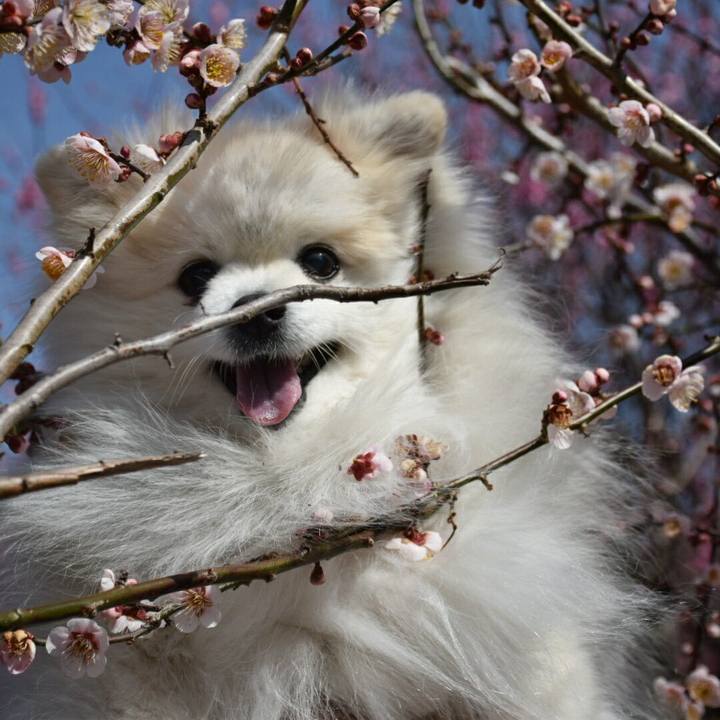 99a39284 be5e 412a b450 e3ef57b79a98