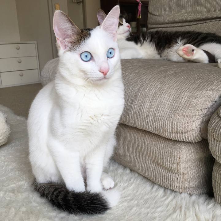 99a3c61f 13de 4e33 991b 45ee81fbccd9